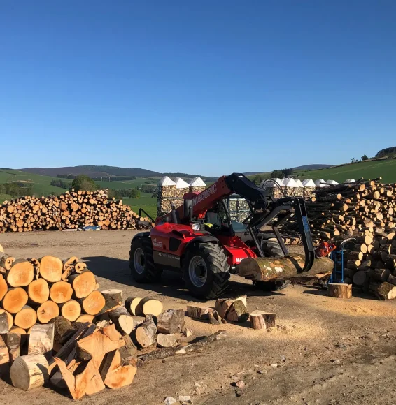 Firewood Processing in Aberdeen Logs